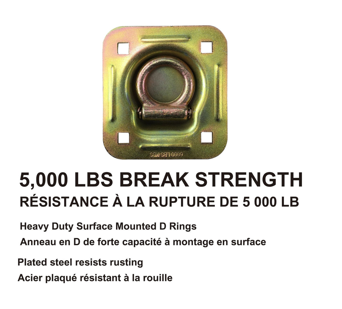 5,000-lb Heavy Duty D-Ring, Recessed Mountable Z2M1 - product image 2
