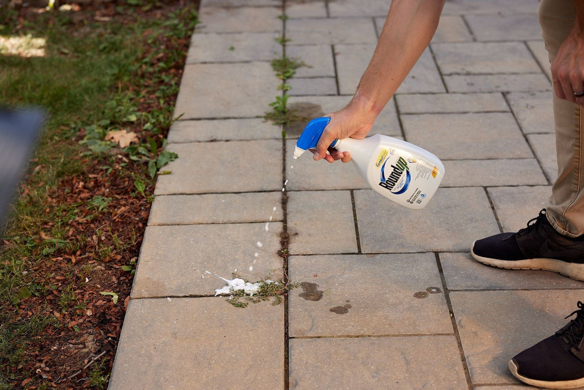 Ready-to-Use Herbicide Grass & Weed Control/Killer with Fast Fact Foam, 1-L C8A0 - product image 3