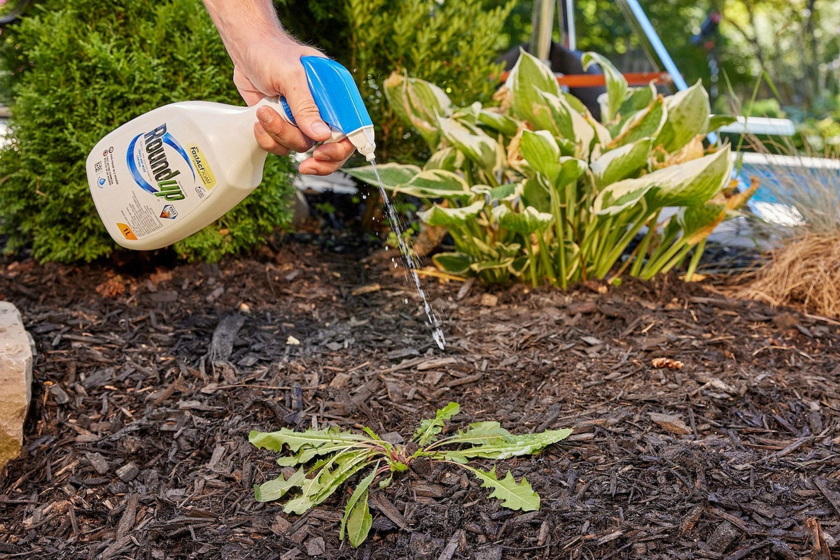 Ready-to-Use Herbicide Grass & Weed Control/Killer with Fast Fact Foam, 1-L C8A0 - product image 4