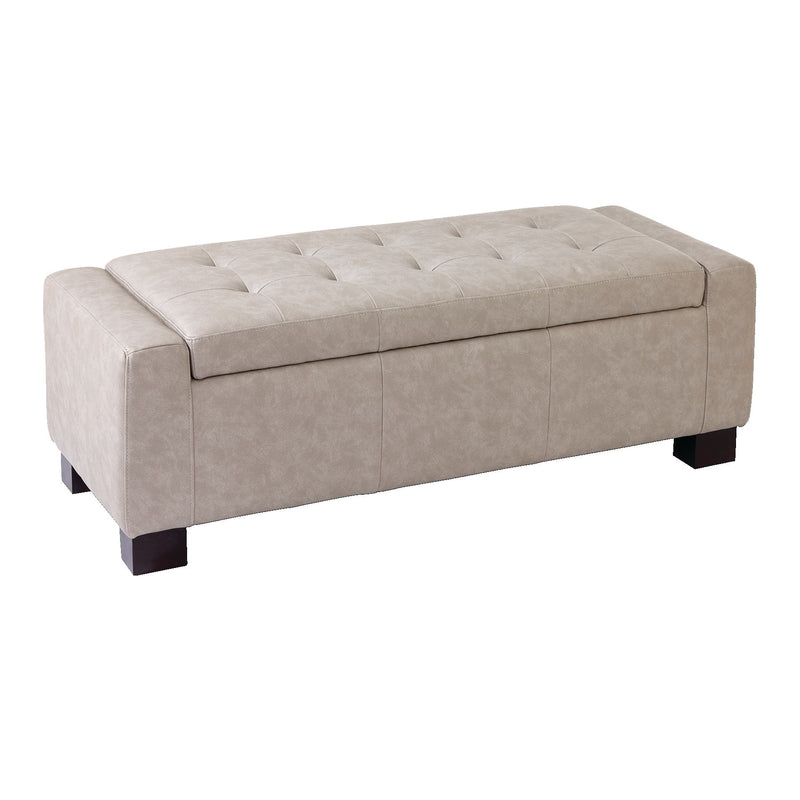 Louisa Upholstered Hinge-Top Storage Ottoman/Bench With Padded Seat, Light Grey J7T6