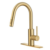 Oletto Single Handle High Arc Pull Down Kitchen Faucet, Brushed Brass D3D1 - product image 1