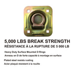5,000-lb Heavy Duty D-Ring, Recessed Mountable Z2M1 - product image 2