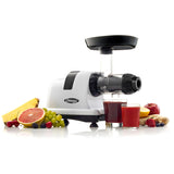 Horizontal Slow Juicer, 150W, 4 Cups Q2E2 - product image 5